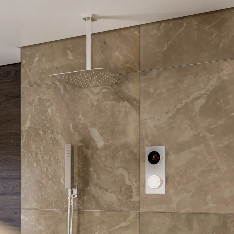 Cyber 2 Outlet Ceiling Shower Set Head Handset Bracket