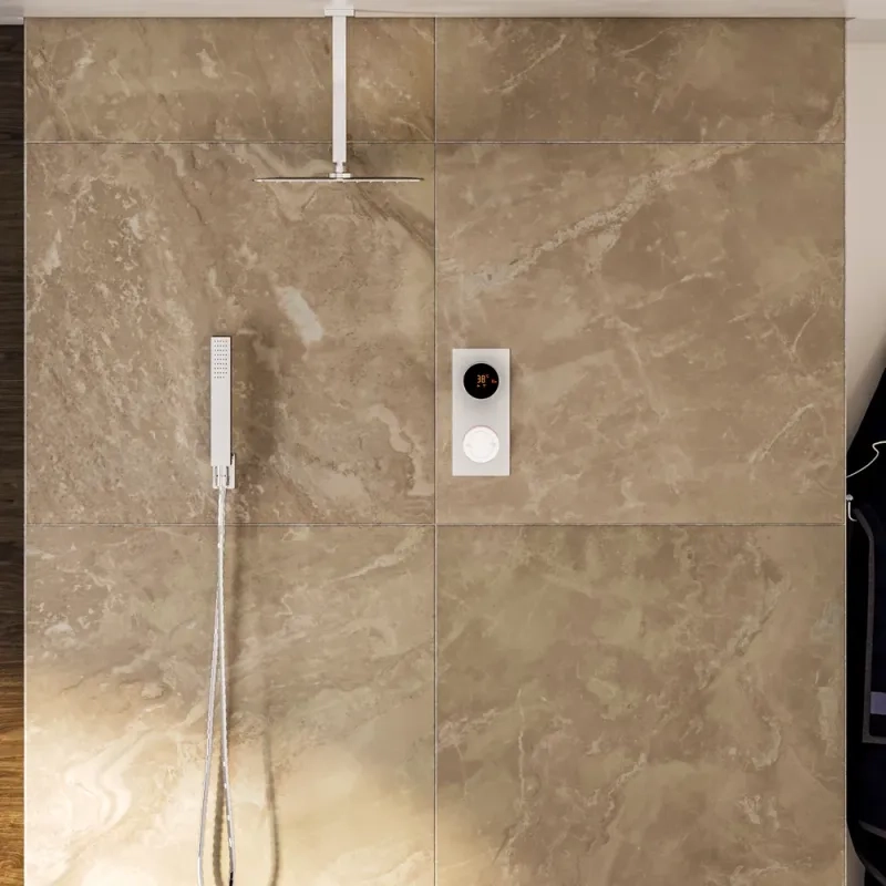 Cyber 2 Outlet Ceiling Shower Set Head Handset Bracket