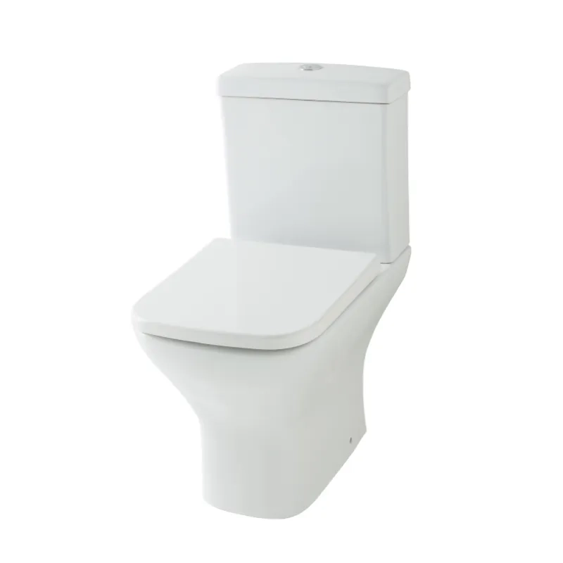 Cutout image of Classic White Close-coupled Parma Toilet with Soft-close Seat