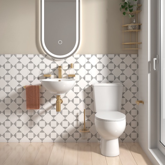 Tesla Wall Hung Basin and Toilet