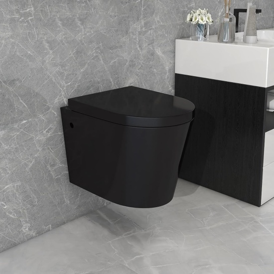 Product Image for Alessio Black Wall-hung Toilet Pan
