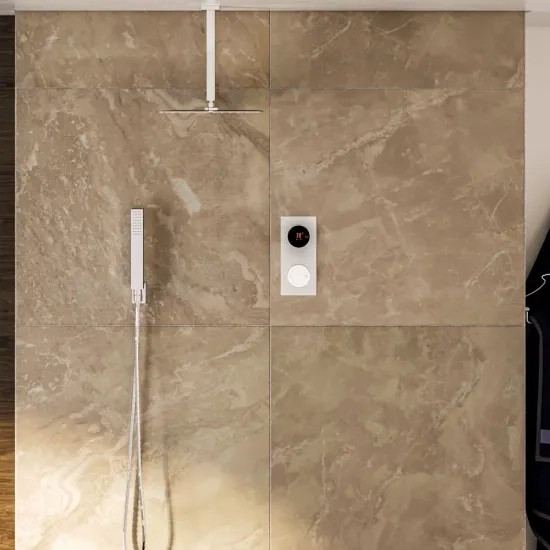 Cyber 2 Outlet Ceiling Shower Set Head Handset Bracket
