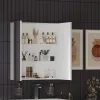 Patello White 2 Door Mirror Cabinet Glass Shelves