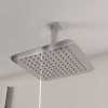 Ribble Ceiling shower head