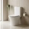 Sullivan Close Coupled Small Toilet
