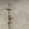 Petteril Gold Round Shower Rail Kit