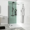 Extra Product Image For Radiant Black Hinged Walkin Corner Shower Enclosure 1
