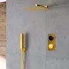 Cyber brushed brass 2 outlet wall shower set head handset bracket